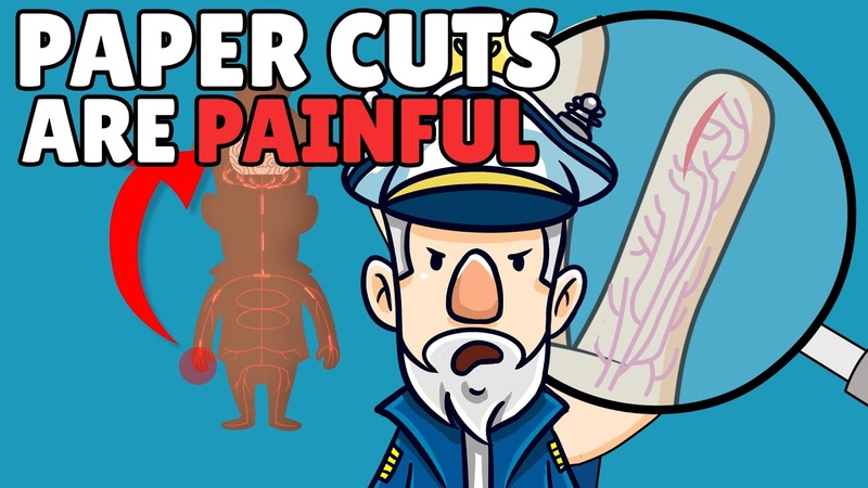 Why Do Paper Cuts Hurt So Much