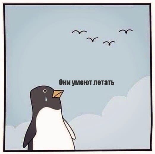 AedUhKUgJOQ.jpg