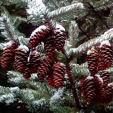 Малкольм Ванг: подросток-фотограф с аутизмом, изображение №4