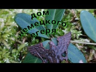 Сбылась моя мечта...Я его всё-таки нашёл....