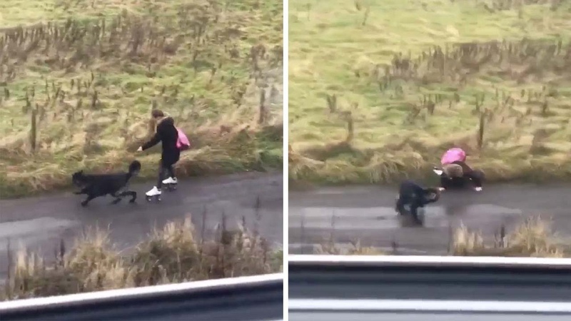 Dog Walker on Rollerblades' Falls Over