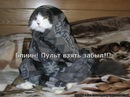 Фотография Сараевой Натальи