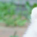 №7, Марина Баклыкова, 26 лет, Самара №7, Марина Баклыкова, 26 лет, Самара