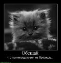 №1 Сашенька Матюш : профиль, фото, статус - ВКонтакте №1 Сашенька Матюш : профиль, фото, статус - ВКонтакте