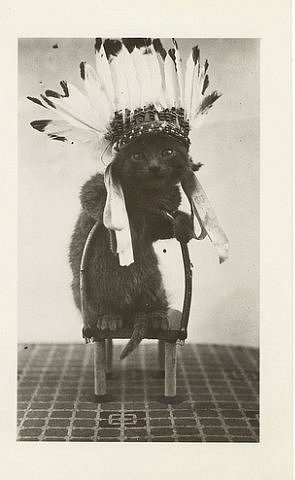 №13, Малика Сайдашева, Москва №13, Малика Сайдашева, Москва