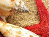 Anna Koval | Киев