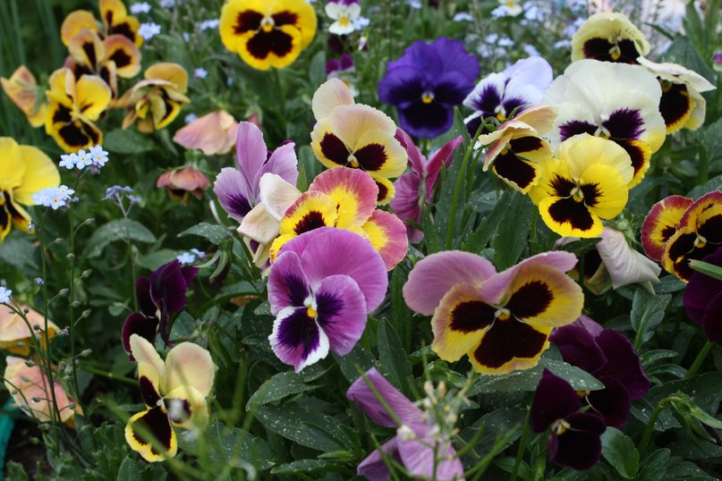 Ирина Ceргеенко | Костомукша