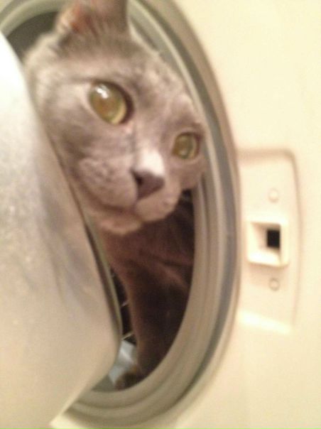 №85, Юлия Рывкина, 34 года, Alanya №85, Юлия Рывкина, 34 года, Alanya