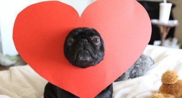 Оленька Мудрик | Санкт-Петербург