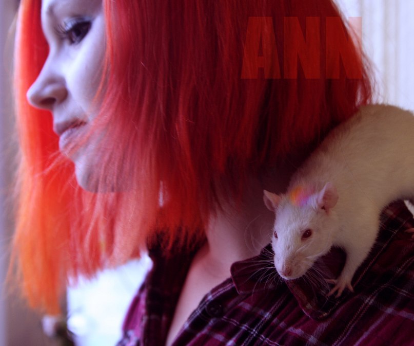 Анна Молкс | Санкт-Петербург