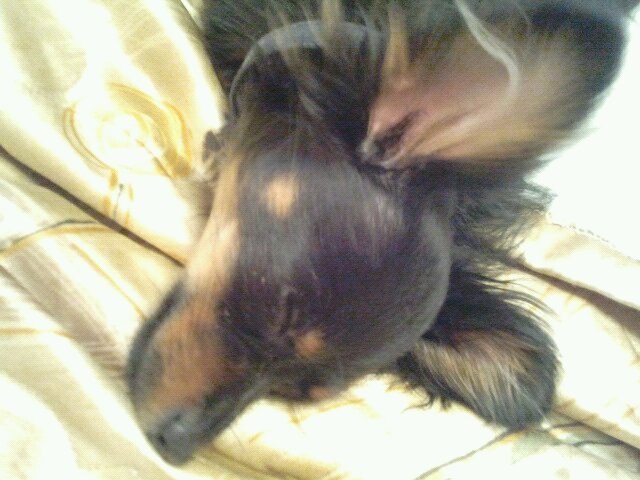 Ольга Андреева ♥♥♥ Olechka ♥♥♥ | Санкт-Петербург