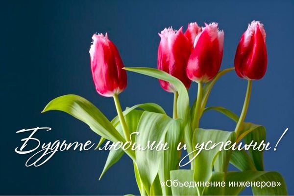 №164, Эльза Крольченко №164, Эльза Крольченко