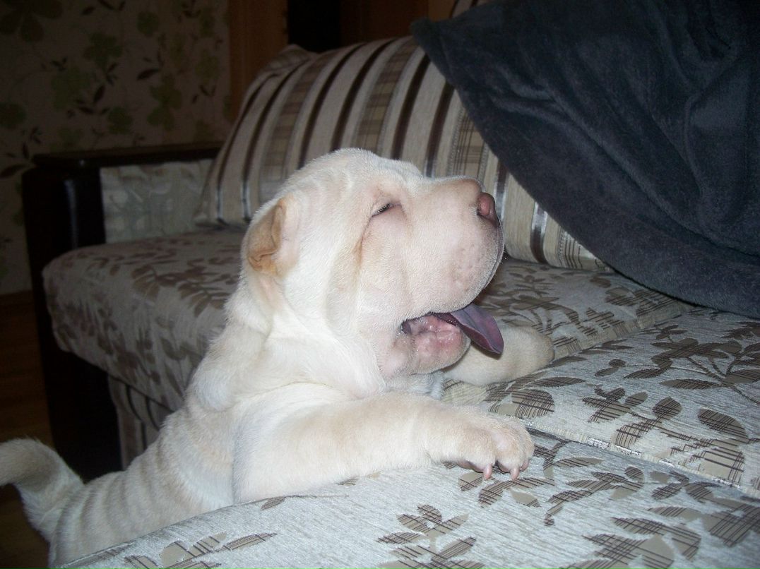 Маришка Фомина | Киев