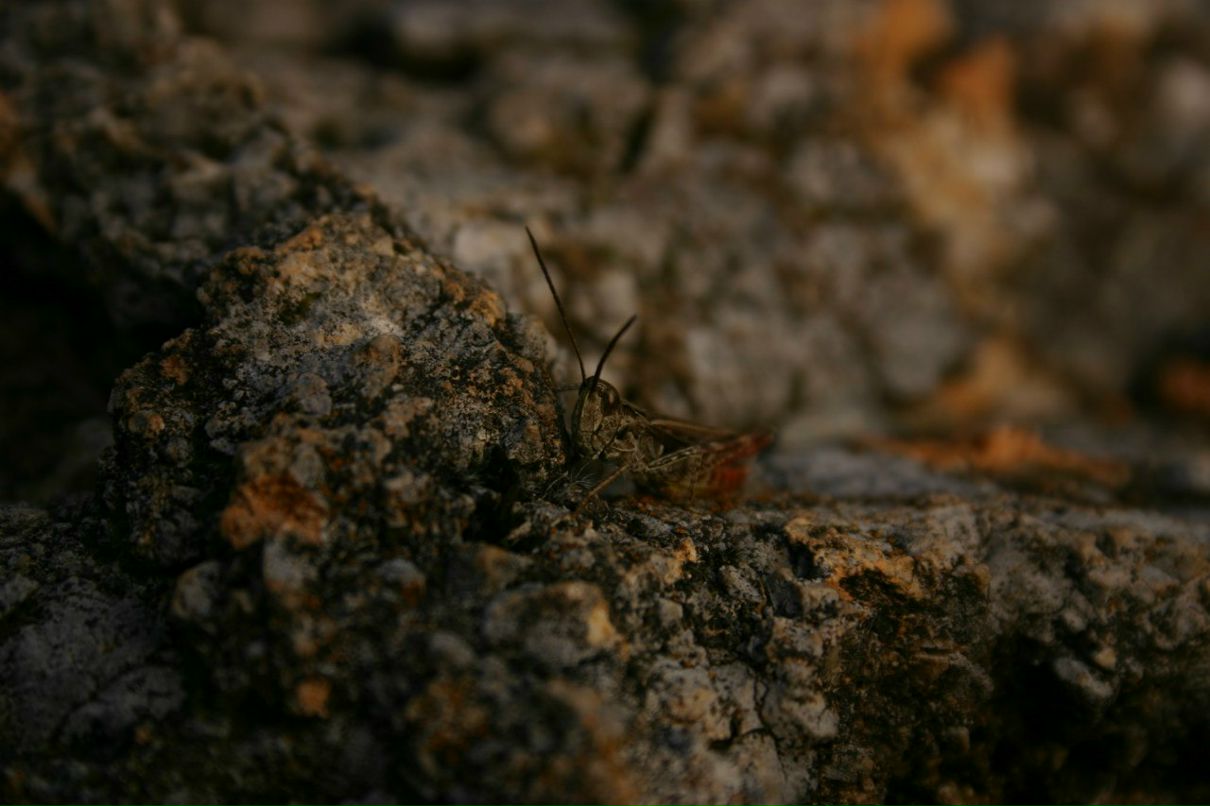 Константин Торин | Москва