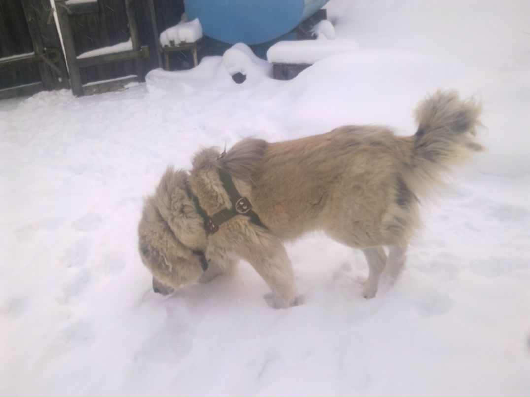 Коля Попов | Якутск