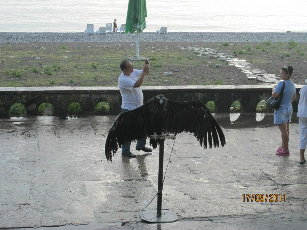 Юля Грызунова | Бузулук