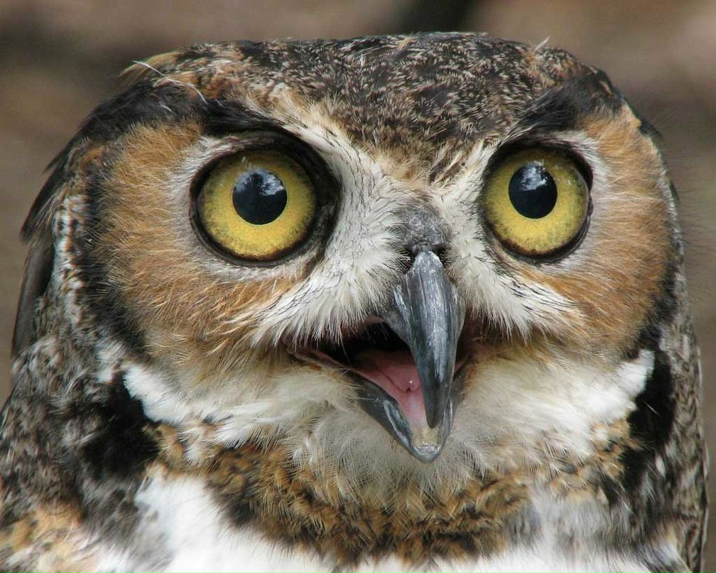 Сергей Андросов | Якутск