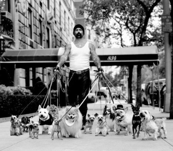 №36, Валерий Гусар №36, Валерий Гусар