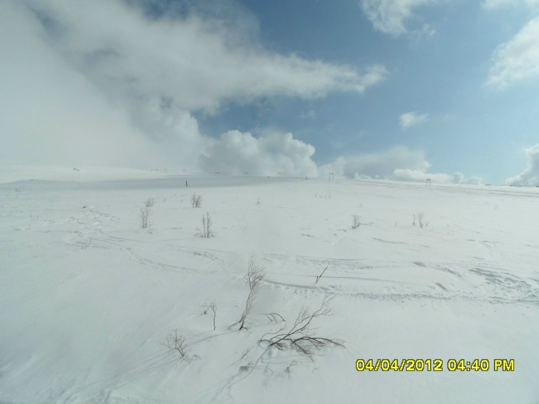 Анна Польникова | Санкт-Петербург