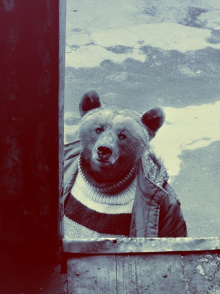 Діма Давидюк | Хмельницкий