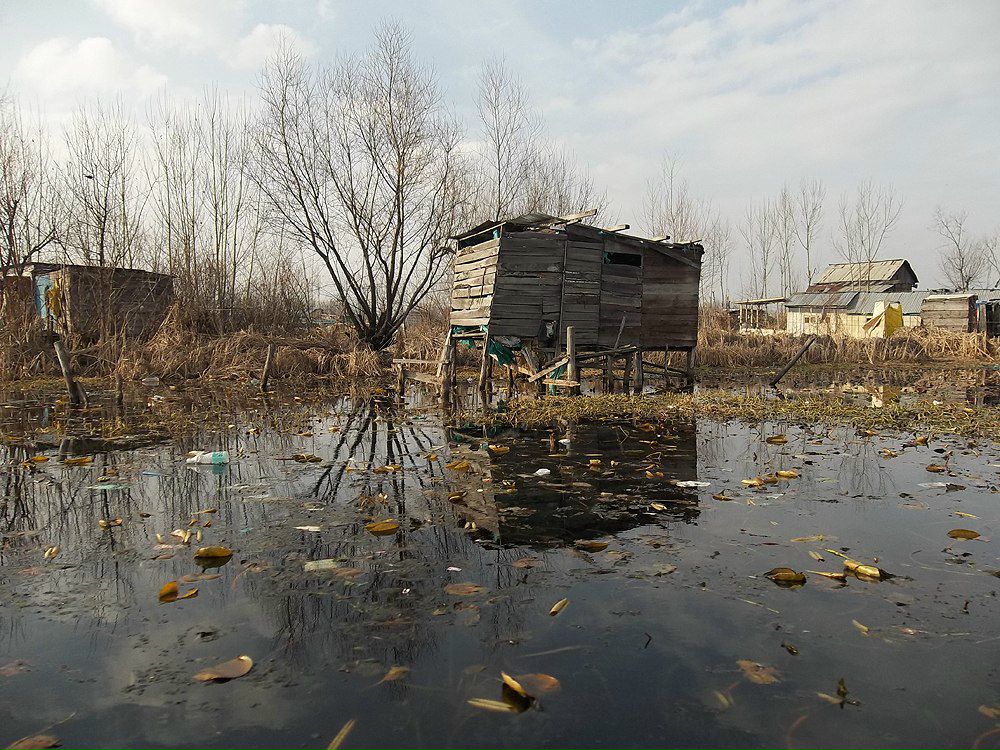 Максим Бугера | Киев