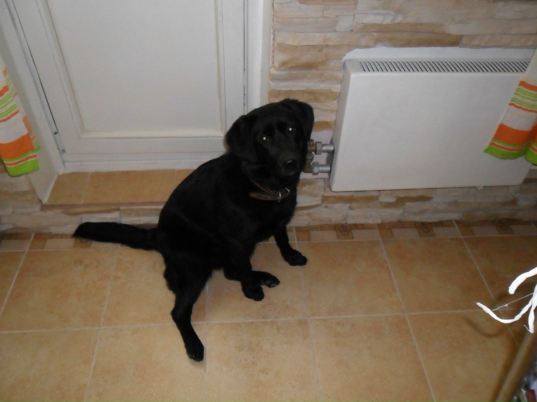 Света Мещерякова | Москва