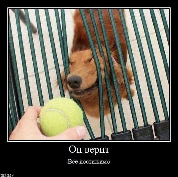 Сергей Липин 