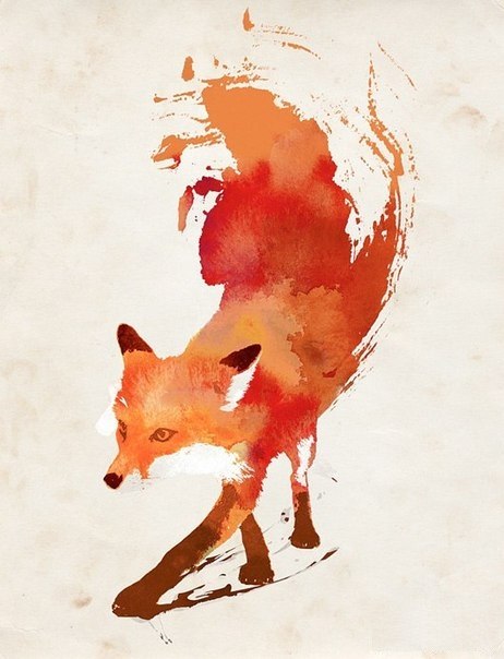 Роман Богуславский Foxters | 