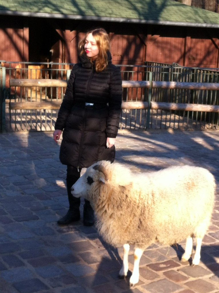 Дария Волынская | 