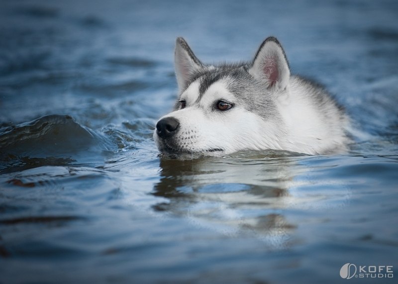 Оксана Хисамутдинова | Стерлитамак