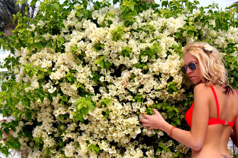 Анастасия Трошенкова | Москва