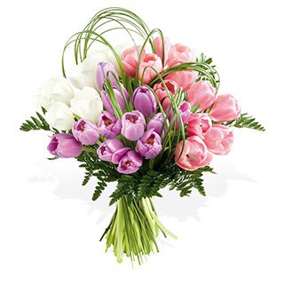 Клим Летов Rastaone | Москва