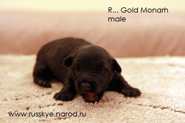 Ангелина Сартакова | Санкт-Петербург