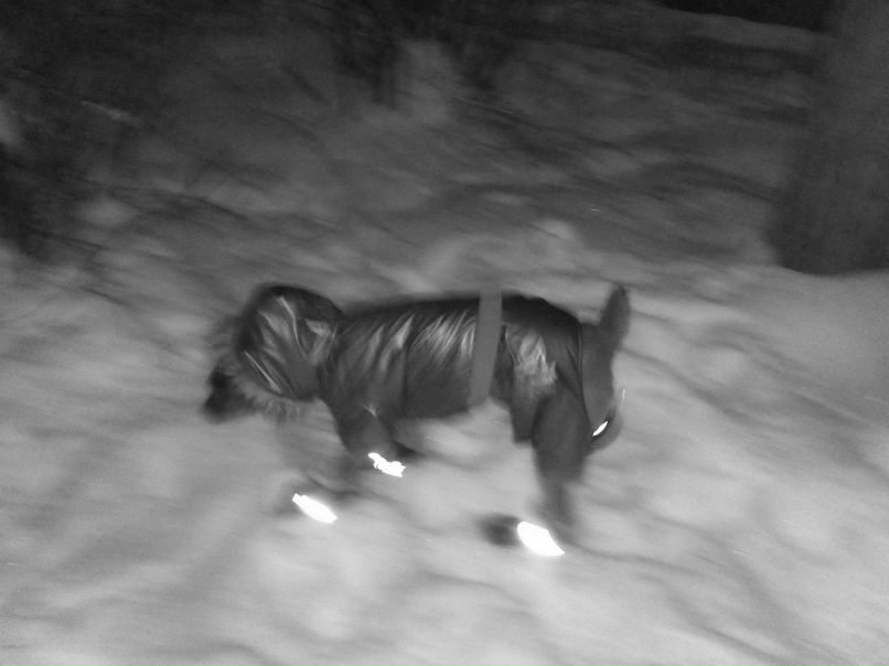 Кристя Соботюк | Киев