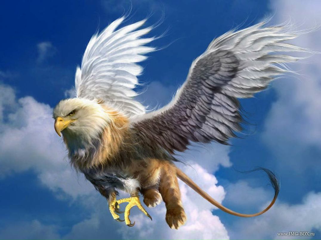 Константин Ефимов | Санкт-Петербург