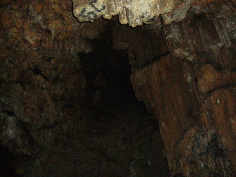 Надежда Волосковец | Бровары