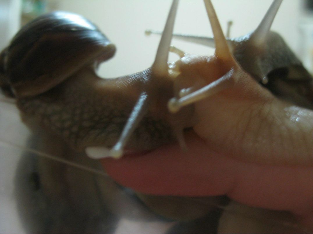 Татьяна Хахулина | Краснодар