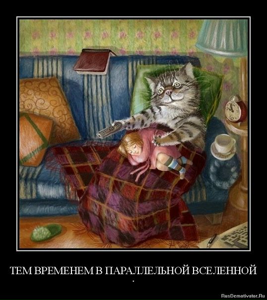 №103, Антон Гуторов, 42 года, Благовещенск №103, Антон Гуторов, 42 года, Благовещенск