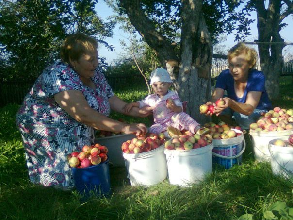 №7, Людмила Никитина, Советский №7, Людмила Никитина, Советский