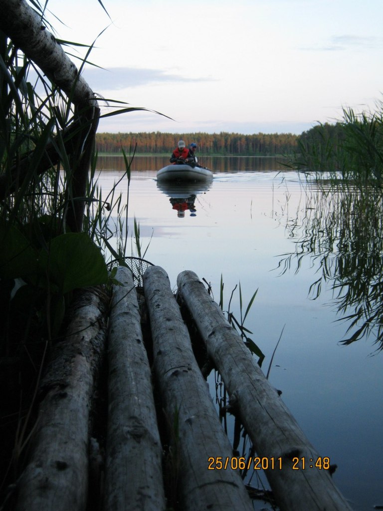 Денис Вирин | Санкт-Петербург
