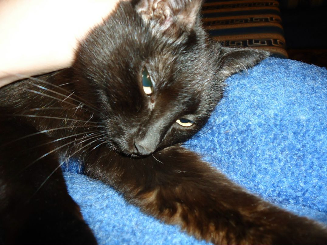 Евгения Наймушина | Иркутск