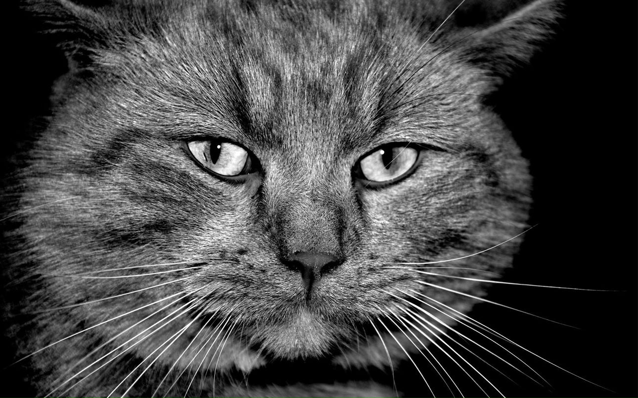 Владимир Прохоренко | Екатеринбург