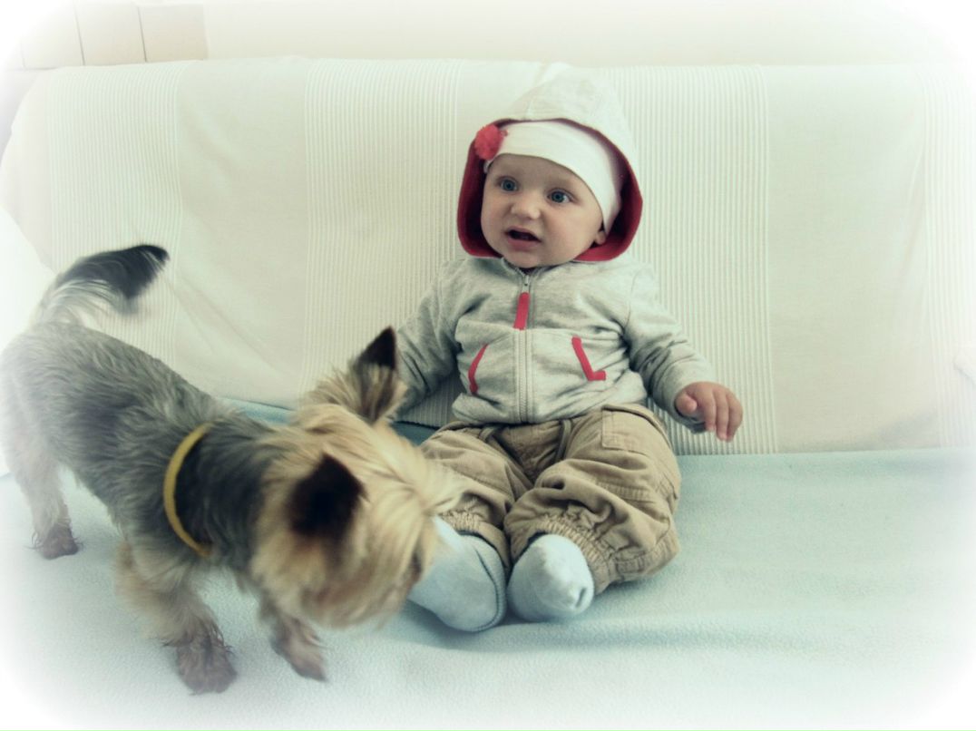 Андрій Пастух | Wrocław