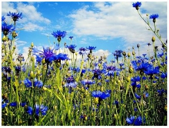 Анна Игнатова | Екатеринбург