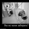 Аватар: Ваня Иванов