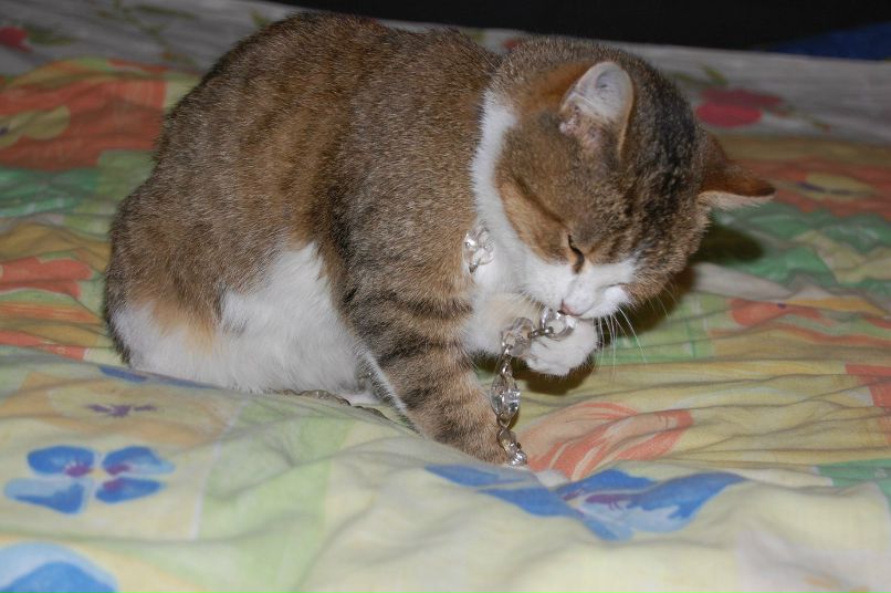 Марина Самборская | Wien