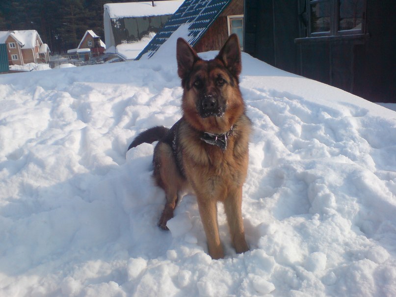 Игорь Сайфуллин | Киров