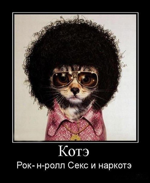 Патрис Лулумба Джорджович | Байконур