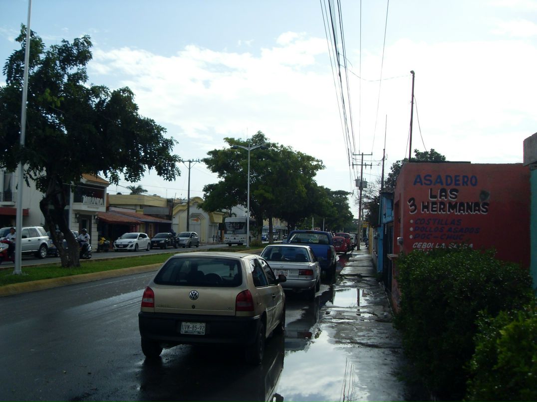 Юлия Шибаева | Санкт-Петербург