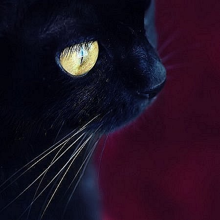 Вася Афанасьев | 